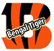 Bengal-Tiger