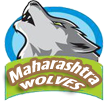 maharashtra-wolves