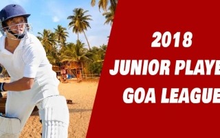 npl-goa-league